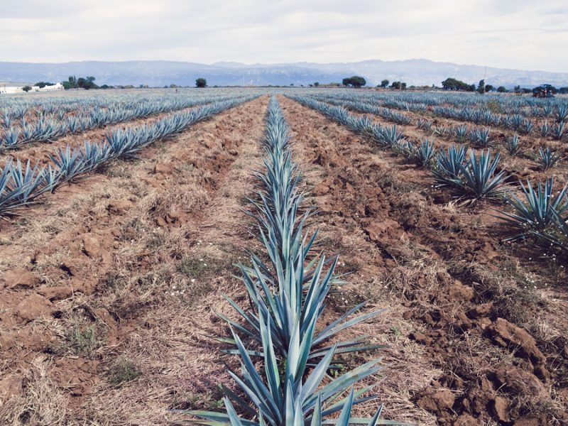 Producción de video promocional