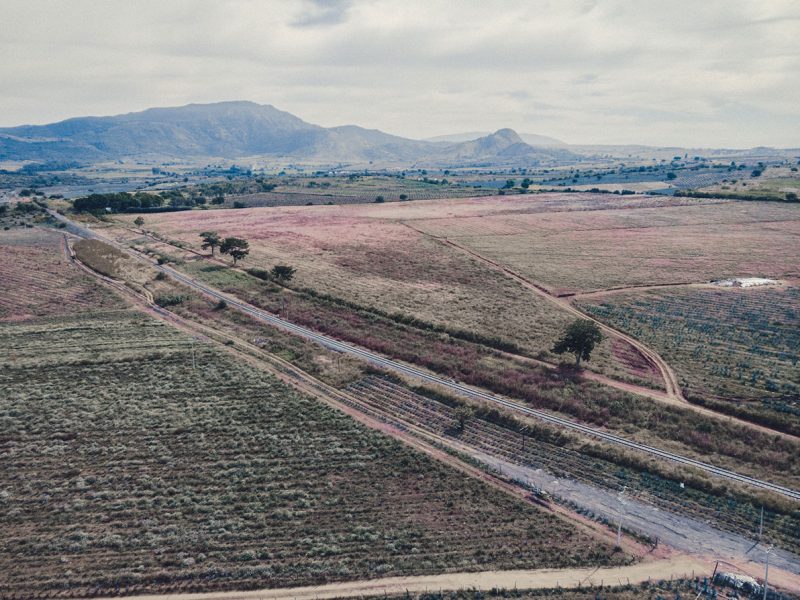 tomas de video con drone paisaje agavero